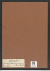 Pseudauliscus peruvianus (Grev.) Rattr. (de-Toni-Nr.: Genus 172, Species 4413) Zeichnungen Sammlung Grunow Mappe 04353 (Herbarium_W_Grunow_drawings_Folder_04353)